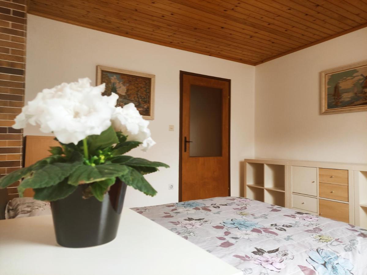 Alp House Hotel Bohinjska Bela Exterior photo